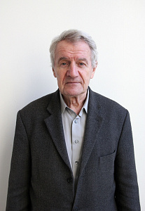 Мильдон В. И.